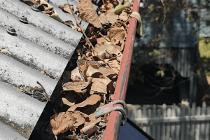 Gutter Cleaning
