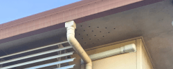 Gutter replacement
