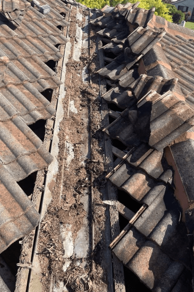 Watercourserepairs (2)