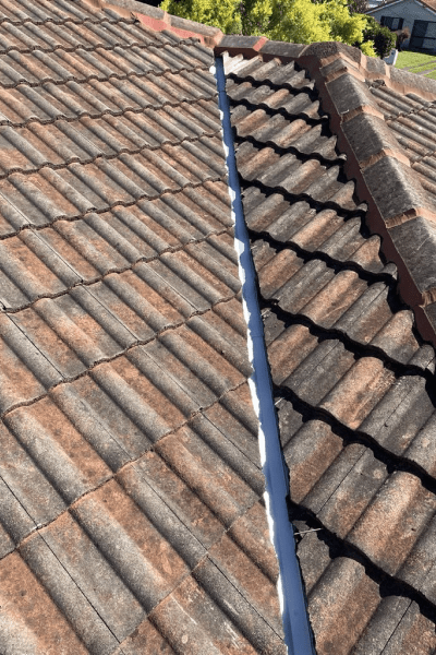 Watercourserepairs (3)