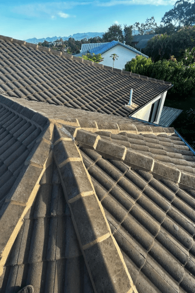 Repointing (3)