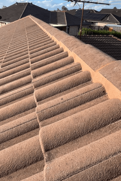 Repointing (9)